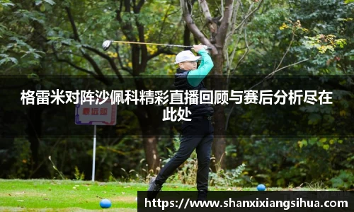 格雷米对阵沙佩科精彩直播回顾与赛后分析尽在此处